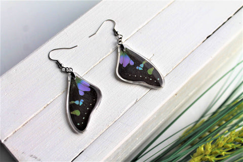 Graphium Weiskei Wing Earrings v2, Real Purple Spotted Swallowtail, Butterfly Wing Earring, Butterfly Wing Preserved, Wing Encased in Resin
