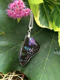Real Purple Spotted Swallowtail Wing, Butterfly Wing Pendant Necklace, Purple and Black, Butterfly Wing Necklace, wing Encased in Resin