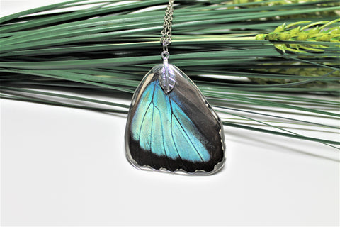 Real Blue Morpho Wing v2, Real Wing Necklace, Blue Butterfly Necklace, Morpho Deidamia Necklace, Entomology, Butterfly Wing Encased in Resin