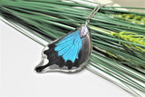 Real Ulysses Wing, Real Wing Necklace, Blue Black Butterfly Necklace, Papilio Ulysses Necklace, Entomology, Butterfly Wing Encased in Resin