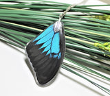 Real Ulysses Wing v2, Real Wing Necklace, Blue Black Butterfly, Papilio Ulysses Necklace, Entomology, Butterfly Wing Encased in Resin, Wing