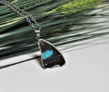 Turquoise Emperor Wing, Butterfly Wing Pendant Necklace, Doxocopa Cherubina, Butterfly Wing Necklace, wing Encased in Resin, Zoology,