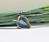 Turquoise Emperor Wing v2, Butterfly Wing Pendant Necklace, Doxocopa Cherubina, Butterfly Wing Necklace, wing Encased in Resin, Zoology,