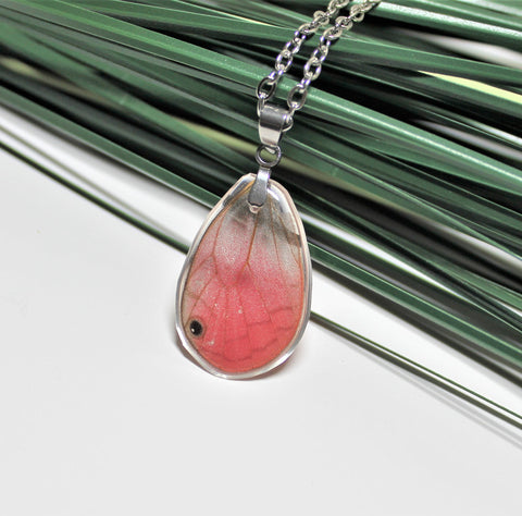 Real Pink Glasswing Wing, Butterfly Wing Pendant Necklace, Cithaeria aurora, Butterfly Wing Necklace, wing Encased in Resin, insect jewelry