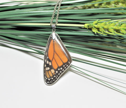 Real Monarch Wing, Monarch Necklace, Real Wing Necklace, Orange Butterfly Necklace, Danaus Plexippus Necklace, Entomology, Butterfly