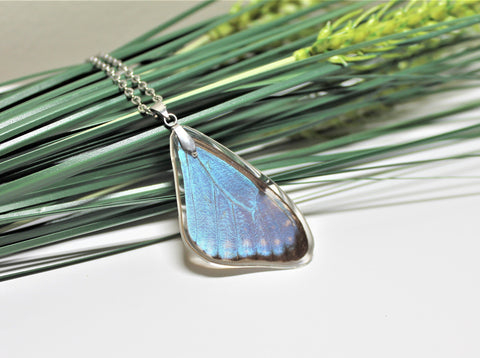 Real Morpho Thamyris, Silver Butterfly Necklace, Real Wing Necklace, Iridescent Butterfly Necklace, Lepidoptera Necklace, Entomology, Morpho