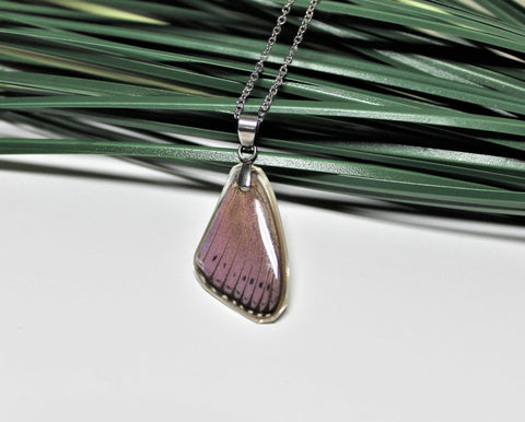 Spotted Lilac Tree Nymph, Butterfly Wing Pendant Necklace, Sevenia pechueli, Butterfly Wing Necklace, wing Encased in Resin, Zoology, Wing