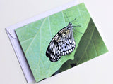 Rice Paper Butterfly Greeting Card, Butterfly Card, Butterfly Blank Card, Entomology Card, Insect lover Card, Insect Card, Lepidoptera Card