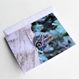 Owl Butterfly Greeting Card, Butterfly Card, Butterfly Blank Card, Entomology Card, Insect lover Card, Insect Card, Lepidoptera Card