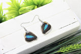 Turquoise Emperor Lower Wing Earrings, Butterfly Wing Earrings, Doxocopa Cherubina, Insect Earrings, Encased in Resin, Zoology, Entemology