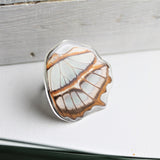 Malachite Wing Ring, Butterfly Wing Pendant Ring, Siproeta stelenes, Butterfly Wing Ring, Insect Ring, wing Encased in Resin, Preserved Wing