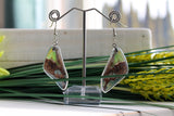 Graphium Weiskei Wing Earrings, Real Purple Spotted Swallowtail, Butterfly Wing Earring Set, Butterfly Wing Preserved, Wing Encased in Resin