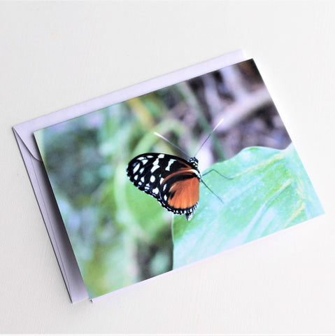 Tiger Longwing Butterfly Greeting Card, Butterfly Card, Butterfly Blank Card, Entomology Card, Insect lover Card, Insect, Lepidoptera Card
