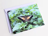 The Clipper Butterfly Greeting Card, Butterfly Card, Butterfly Blank Card, Entomology Card, Insect lover Card, Insect Card, Lepidoptera Card