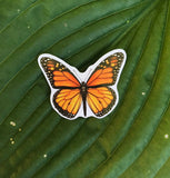 Monarch Butterfly Sticker, Planner Sticker, Laptop Sticker, Stickers, Craft Stickers, Nature Stickers, Sticker Collector