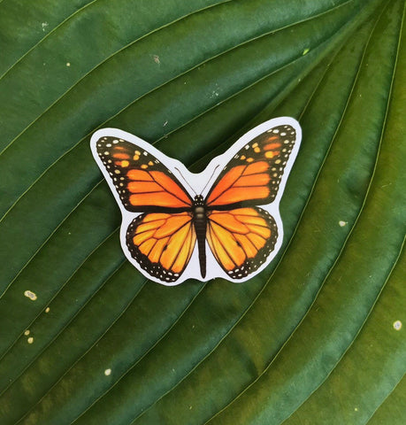 Monarch Butterfly Sticker, Planner Sticker, Laptop Sticker, Stickers, Craft Stickers, Nature Stickers, Sticker Collector