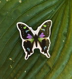 Graphium Weiskei Butterfly Sticker, Planner Sticker, Laptop Sticker, Stickers, Craft Stickers, Nature Stickers, Sticker Collector, Purple